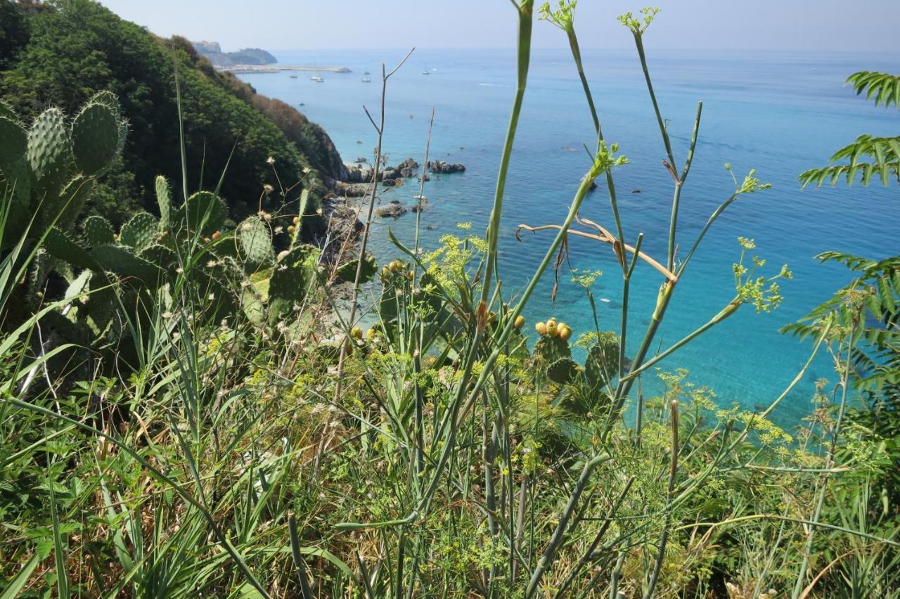 فيلا Il Limoneto, Casa Vacanze Parghelia-Tropea المظهر الخارجي الصورة